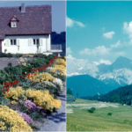 1960 in Süddeutschland durch fesselnde und beeindruckende Fotografien erleben_ml