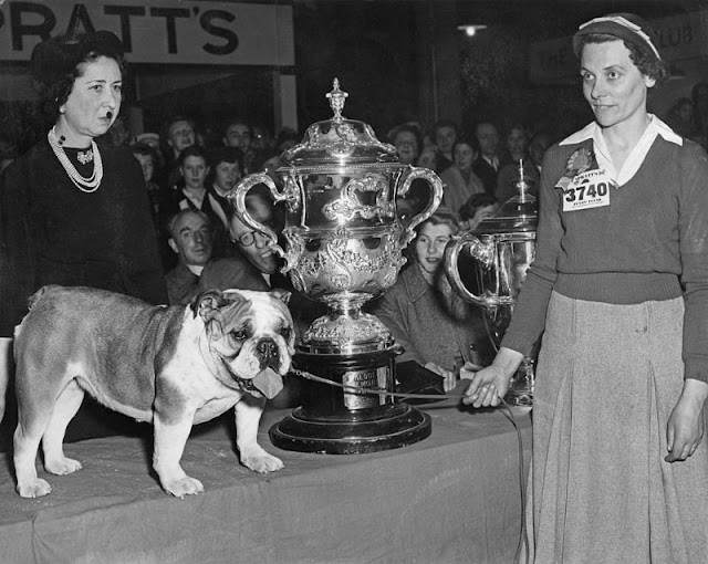 Fascinating Photos of the Crufts Dog Shows in the 1950s_Lap