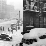 “Frozen in Time: Capturing New York City’s Snowy Past, 1900s-1980s”_trunghinhsu