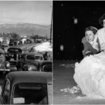 Los Angeles Was Covered in Snow, Here Are 20 Vintage Photos of the Rare Snowfall in January 1949_top1