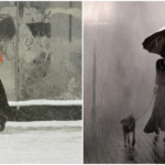 Stunning Color Photography in the 1950s by Saul Leiter_trunghinhsu