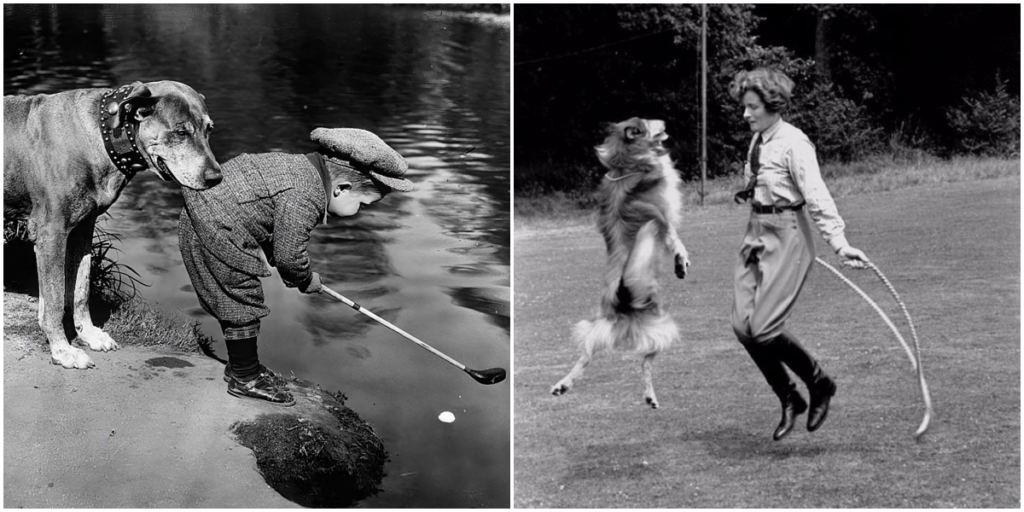 “Timeless Bonds: Vintage Portraits of Humans and Their Cherished Animal Companions”_trunghinhsu