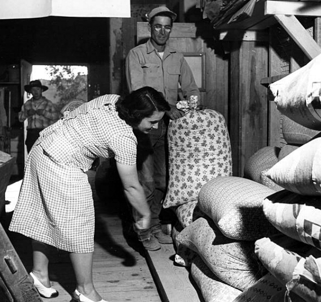 Flour Sack Dresses: Thrifty Fashions From the Great Depression_lag