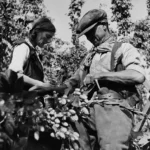 Fascinating historical photos show families picking hops in the English countryside, 1900-1950 – Rare Historical Photos