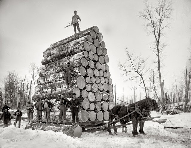 Draft Horse in America – 20 Historical Photographs That Illustrate Workhorse in the Early 20th Century