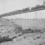 Timber Trestles: Incredible Vintage Photos of Timber Railroad Bridges, 1850s-1900s – Rare Historical Photos