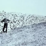 Haunting Photos of the Bison Extermination in 19th Century America